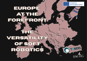 This image has an empty alt attribute; its file name is TUBERS-X-SWAG-1-300x212.png